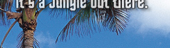 www.traveljungle.co.uk